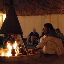 Camel ride and Bedouin Dinner in Sharm El Sheikh